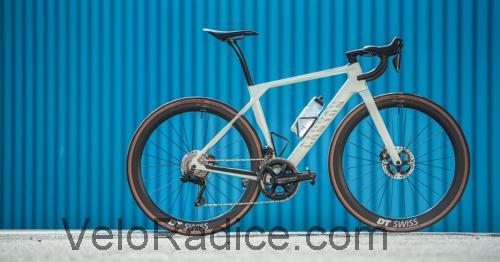 Canyon Endurace scheda tecnica 
